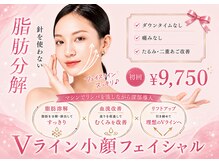 オアナヨーク(oana yoak)の雰囲気（速攻小顔なら脂肪分解！リンパも流して全身の血流改善も同時に♪）