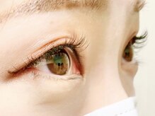 シェリ(SHERI)/フラットラッシュ100本