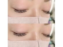 ロッコ(Rocco)/フラットラッシュ