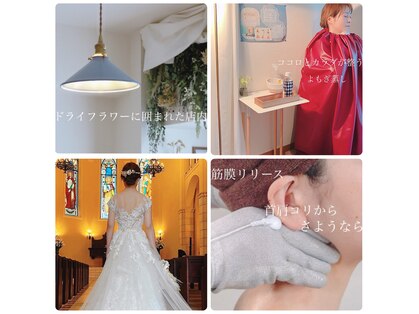 カレント(current)の写真