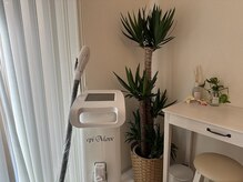 カウピリ(kaupili)の雰囲気（【脱毛器】早い・抜ける！施術する度に美肌へ！）