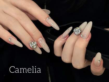 カメリア(Camelia)の写真