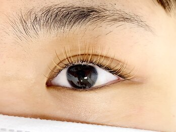 シック(Chic)/オールカラー100本