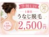 【学割U24】うなじ脱毛　平日限定　2回目以降　価格￥2,500/30分　