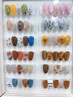 【季節限定】人気トレンドネイル★付替オフ無料 ￥7,700
