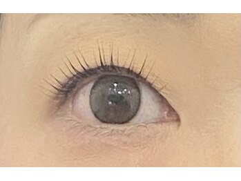 ペルシャ(Persian)/お客様デザイン【若葉/鶴ヶ島】