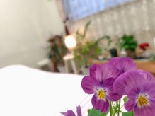 ほぐしサロン 天使の梯子