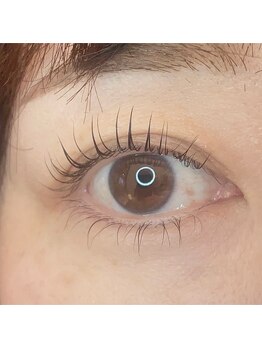 シャルムミー(Charmeme)/次世代まつ毛パーマ上