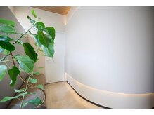 カイト(Kaito)/店内風景