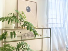 ルナルート ショウナン チガサキ(Luna Route Shonan Chigasaki)/柔らかい雰囲気のサロン空間☆