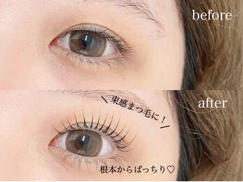 ポノ バイ エフイム.(Pono)/根本から上げる立ち上げデザイン