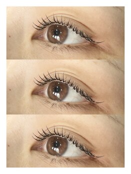 ロコティアラ(Roco Tiara)/フラットラッシュ140本