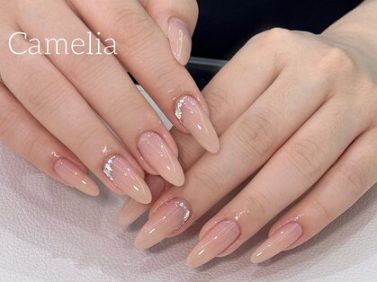 カメリア(Camelia)の写真