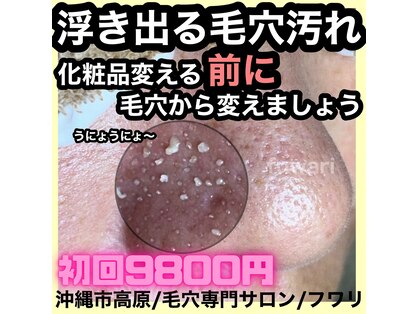 フワリの写真
