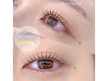 ホワイトカメリア 難波心斎橋店(WhiteCamellia)/まつ毛パーマ/マツエクサロン