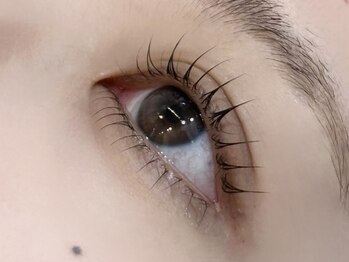 ライラ(LAYLA)/上下ラッシュリフト