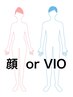 全身脱毛＋選べる脱毛（顔 or VIO）