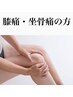 【今月３名限定】人気メニュー膝痛/坐骨の痛み/Ｏ脚骨盤整体60分¥7700→¥3980