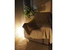 バクのひと眠り