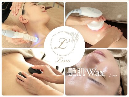リノ(Lino)の写真