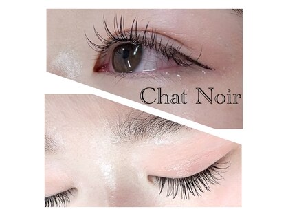 シャノワール(Chat Noir)の写真