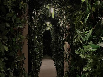 森の雨やどり 天神店/通路も全て森仕様