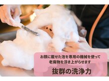 聖(ひじり)の雰囲気（フワフワ泡をお顔全体へ　もう！すっごく気持ち良いんです！！）