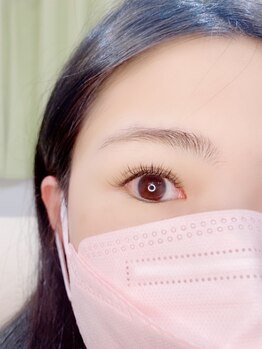 ルピナス(Lupinus)/LEDフラットラッシュ160本