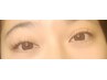 【フラットラッシュ】色艶良いワインレッド 100本まで（ オフ込み ）