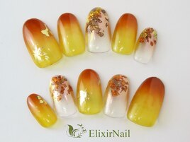 定額a シンプル/クーポン使用