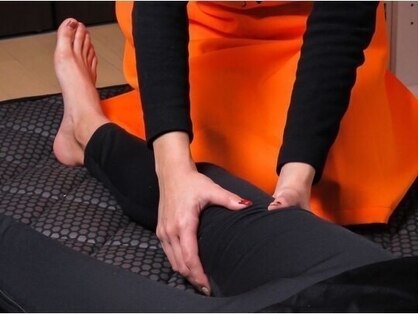 ヨサパーク ブルーム(YOSA PARK Bloom)の写真