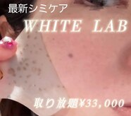 ローマピンク 札幌