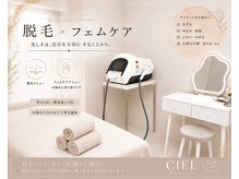 シエル(CIEL)の雰囲気（リラックスした空間でおくつろぎください♪）