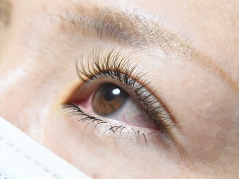 マギバイバディ 宇都宮店(magi by BUDDY)/カラーフラットラッシュ