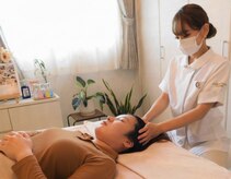 ジェミニ(Gemini)