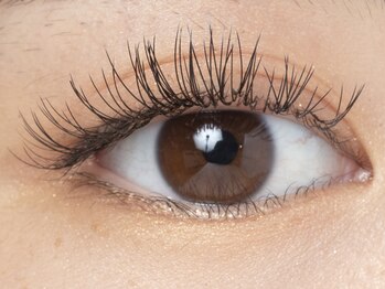 アイラッシュ アン(An)/