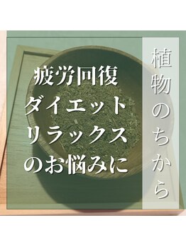 サロンカーム(Calm)/ハーブテント　ハーブ