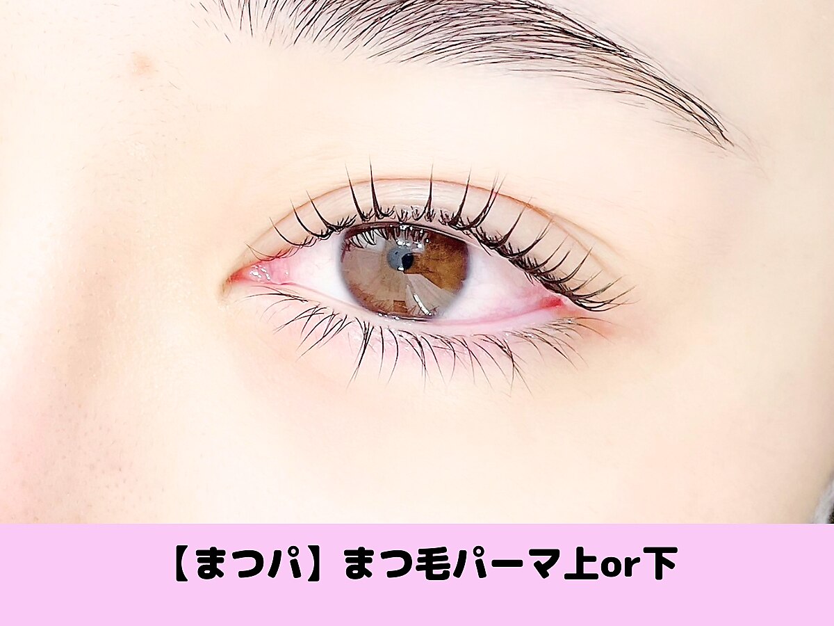 【マツパ】ナチュラル★まつげパ-マ上or下￥4900