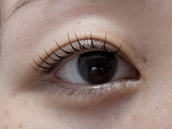 マギバイバディ 宇都宮店(magi by BUDDY)/ラッシュリフト