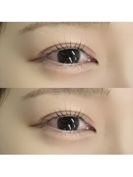 コード(Code.)/目尻流しめデザイン