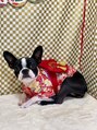 ジュノプラス 諫早店(JUNO+) 愛犬ツムギちゃん♪たまーに店に居るかもです。