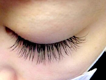 アイラッシュ ルナ(Eyelash LUNA)/つけ放題が限定特別価格!