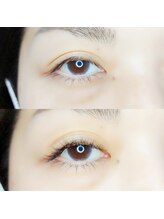 ルピナス(Lupinus)/LEDフラットラッシュ140本