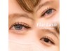 【宮本限定】LED＆フラットラッシュ100本　8250円→