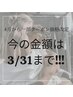 3/31までの期間限定！！