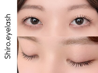 シロアイラッシュ(shiro.eyelash)の写真