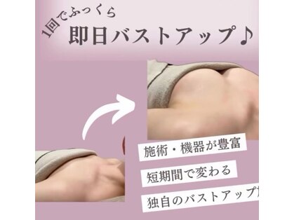 レオ(REO)の写真