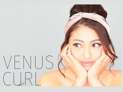 グレース(Grace)の写真