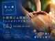【小顔矯正＆深層筋リンパボディケア】風薫-フウカ-【7月 NEW OPEN（予定）】の写真