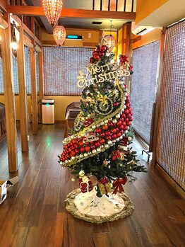 美楽流(miracle)/2021クリスマスツリー